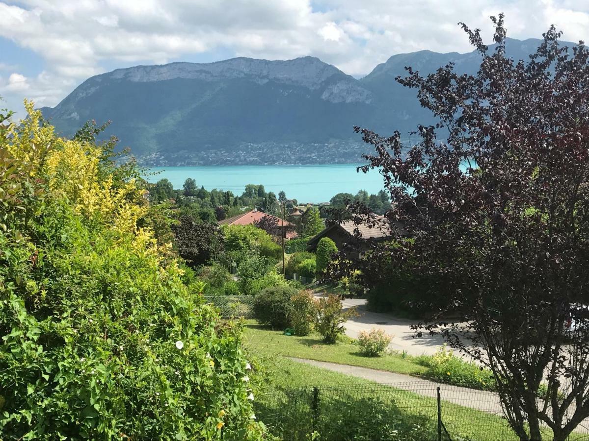 Terrasse Et Jardin * Sevrier